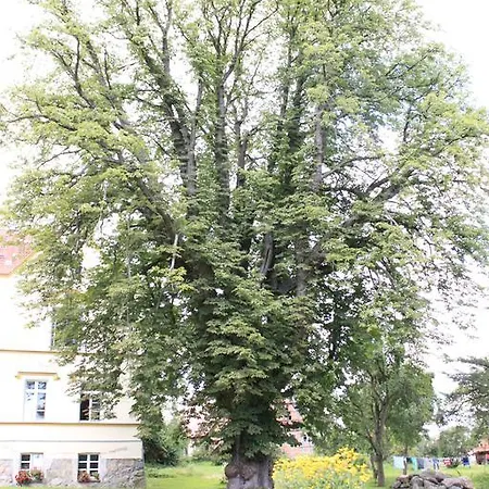Schloss - Parkblick Apartment Lelkendorf