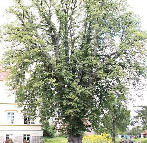 Schloss - Parkblick דירה Lelkendorf